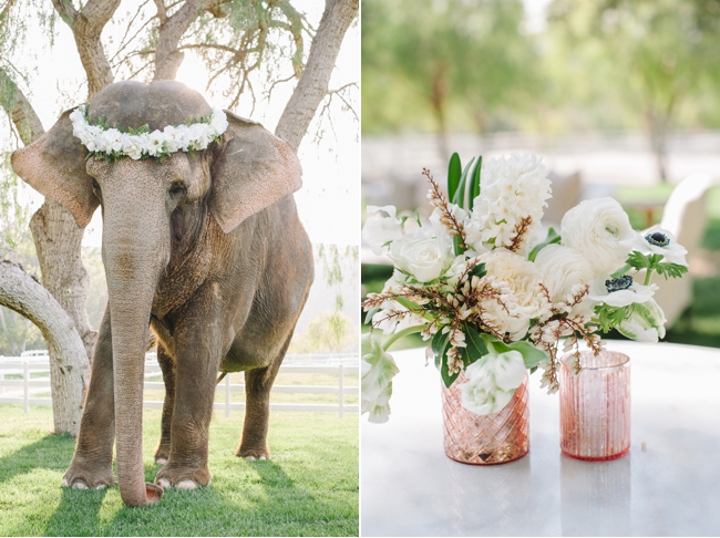 chic celebrations wedding details