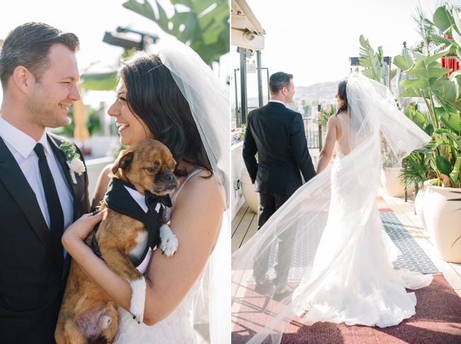 Mama Shelter Madera Kitchen Wedding Elopement