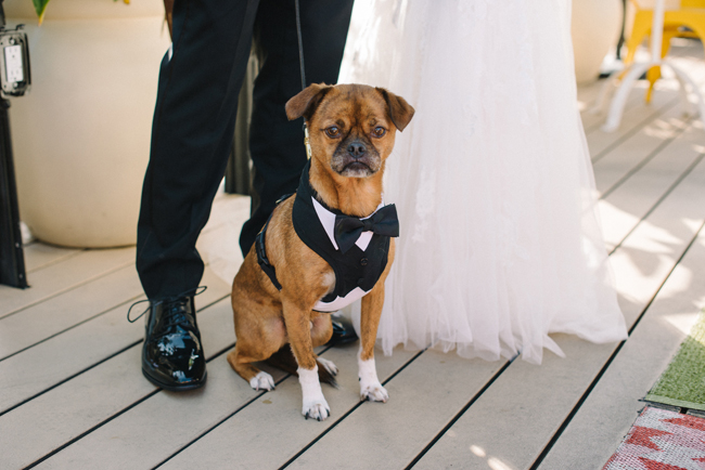 Mama Shelter Madera Kitchen Wedding Elopement