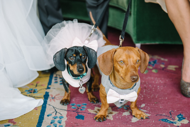 coral green fig house wedding