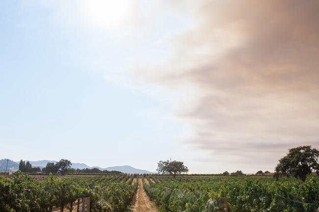 Sunstone Vineyards & Winery Wedding