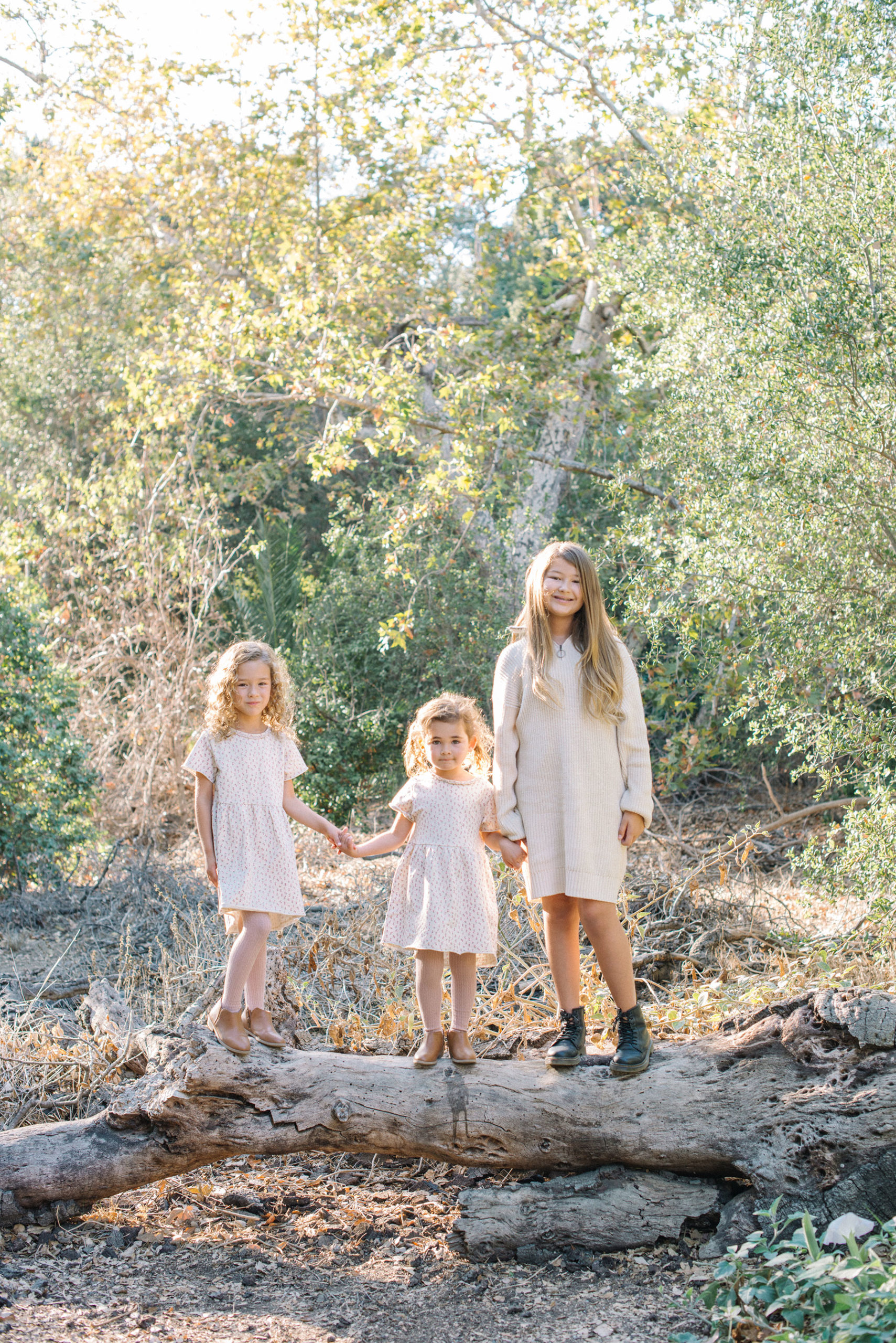 What Is A Mini Session? - Krista Mason Photography