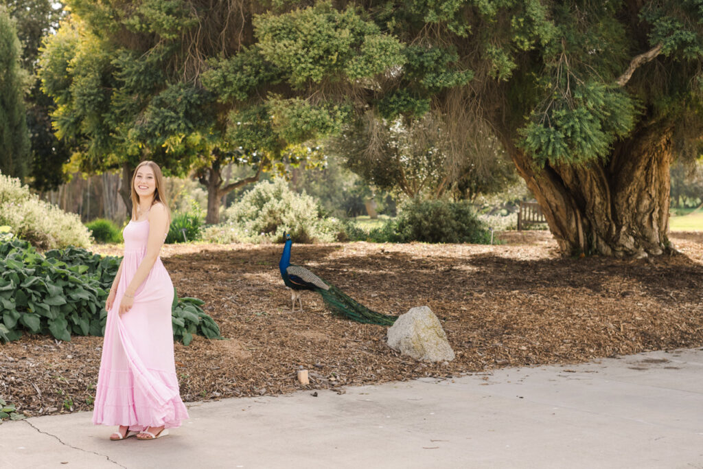 Senior Portraits at LA Arboretum